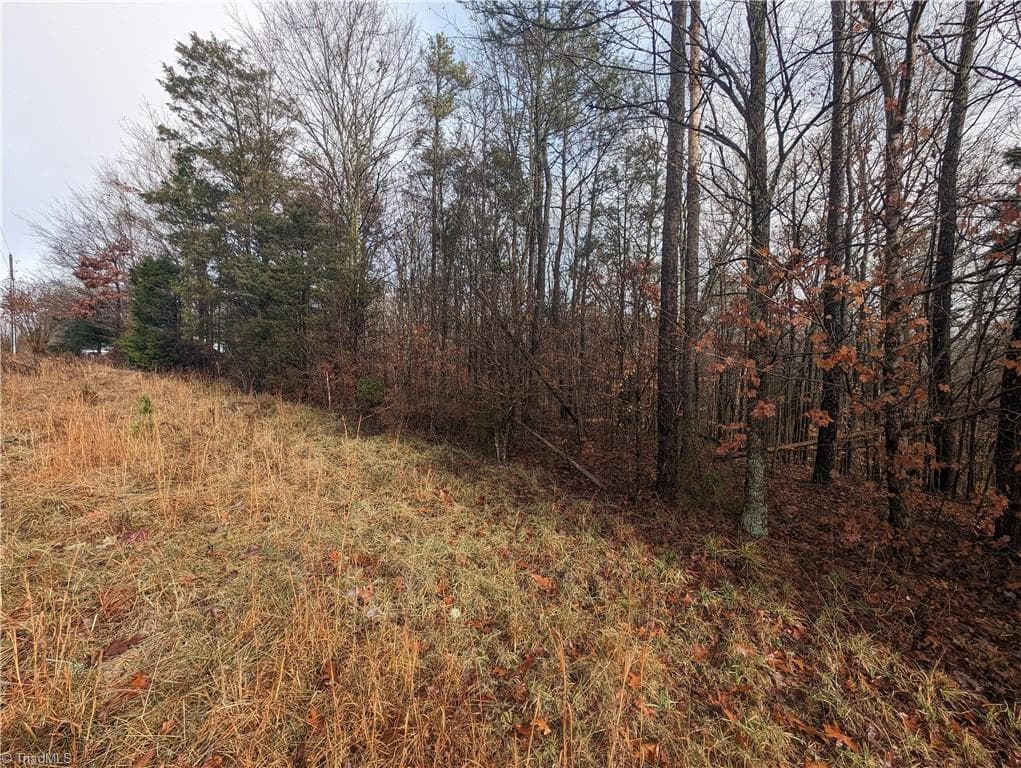 Unimproved Land at 255 Bowers Road, Thomasville NC 27360, photo 6 of 12