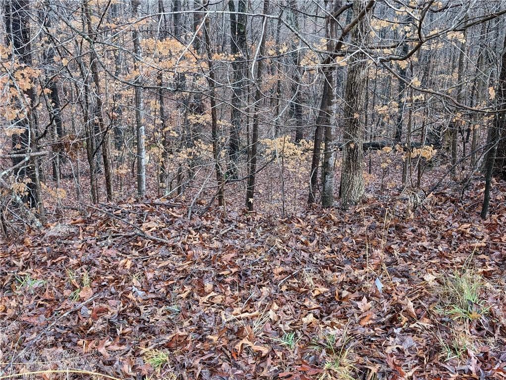 Unimproved Land at 255 Bowers Road, Thomasville NC 27360, photo 5 of 12