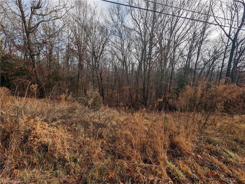 Unimproved Land at 255 Bowers Road, Thomasville NC 27360, photo 9 of 12