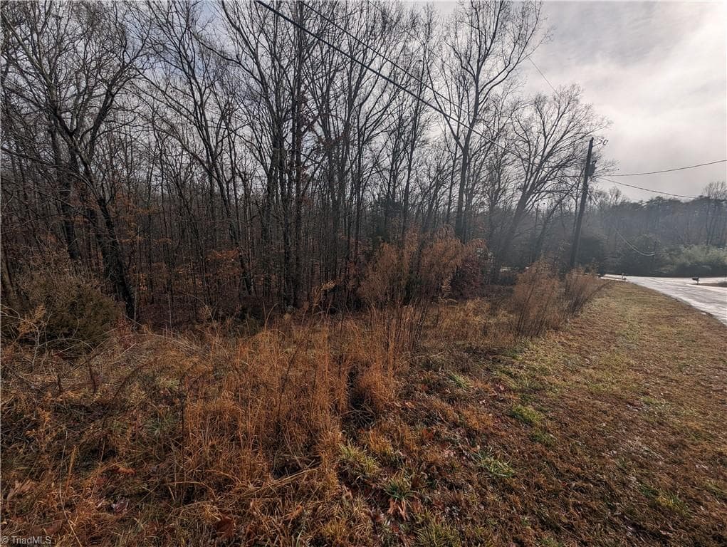 Unimproved Land at 255 Bowers Road, Thomasville NC 27360, photo 10 of 12