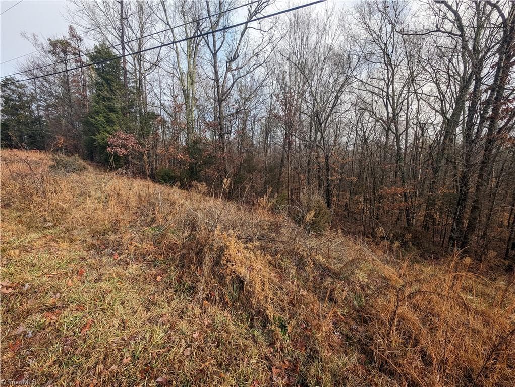 Unimproved Land at 255 Bowers Road, Thomasville NC 27360, photo 11 of 12