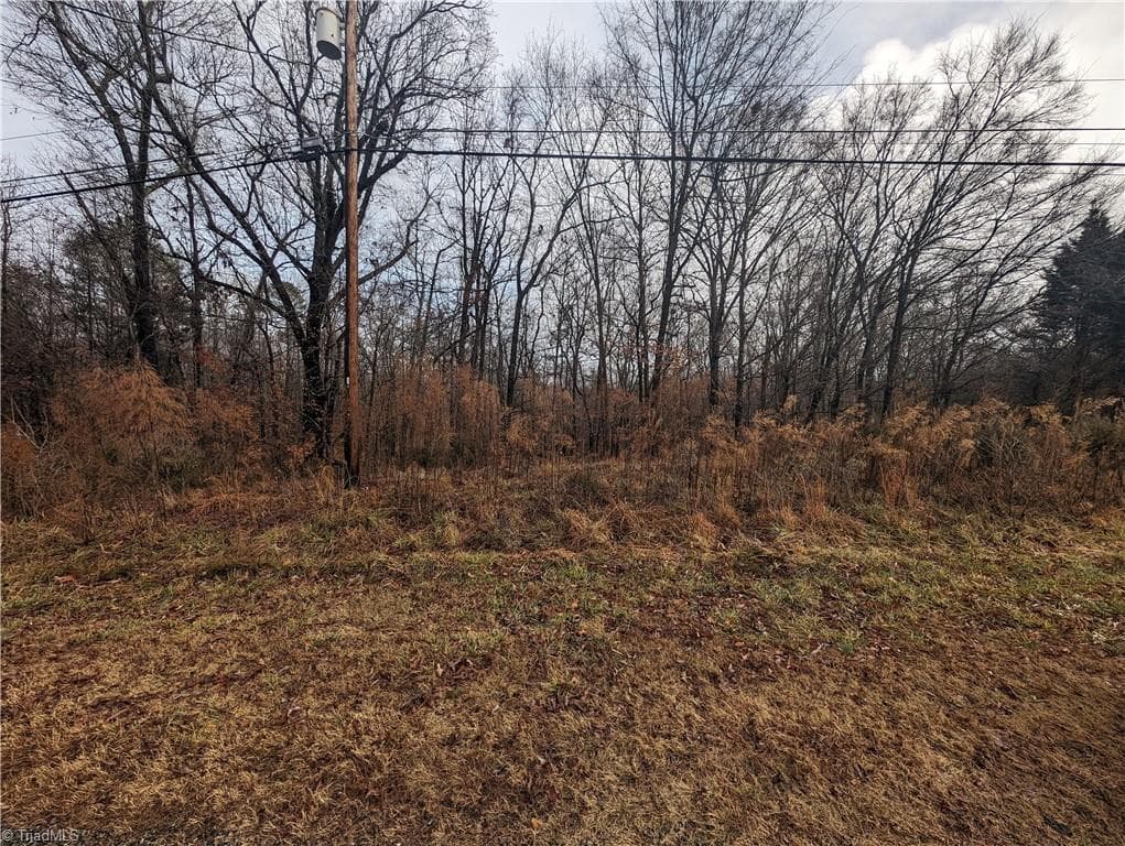 Unimproved Land at 255 Bowers Road, Thomasville NC 27360, photo 4 of 12