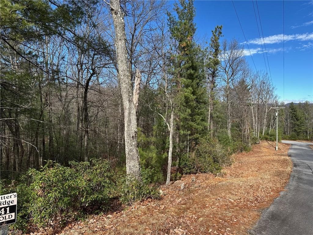 Single Family Residence at Lot 41 Sutters Ridge Road, McGrady NC 28649, photo 3 of 8