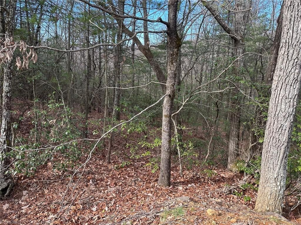 Single Family Residence at Lot 41 Sutters Ridge Road, McGrady NC 28649, photo 4 of 8