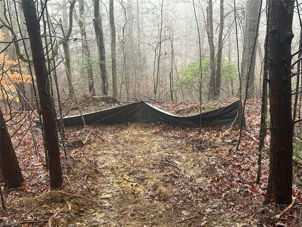 Unimproved Land at 00 Whitaker Chapel Road # 1, Pilot Mountain NC 27041, photo 2 of 4