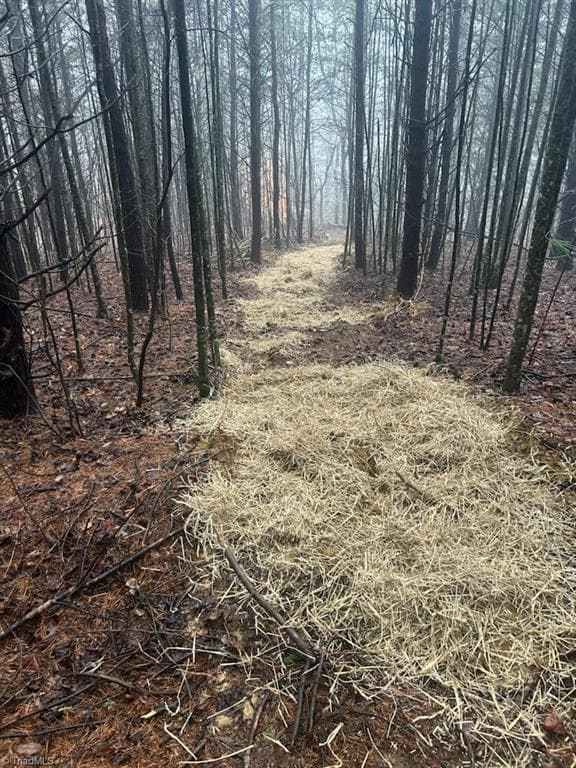 Unimproved Land at 00 Whitaker Chapel Road # 1, Pilot Mountain NC 27041, photo 3 of 4