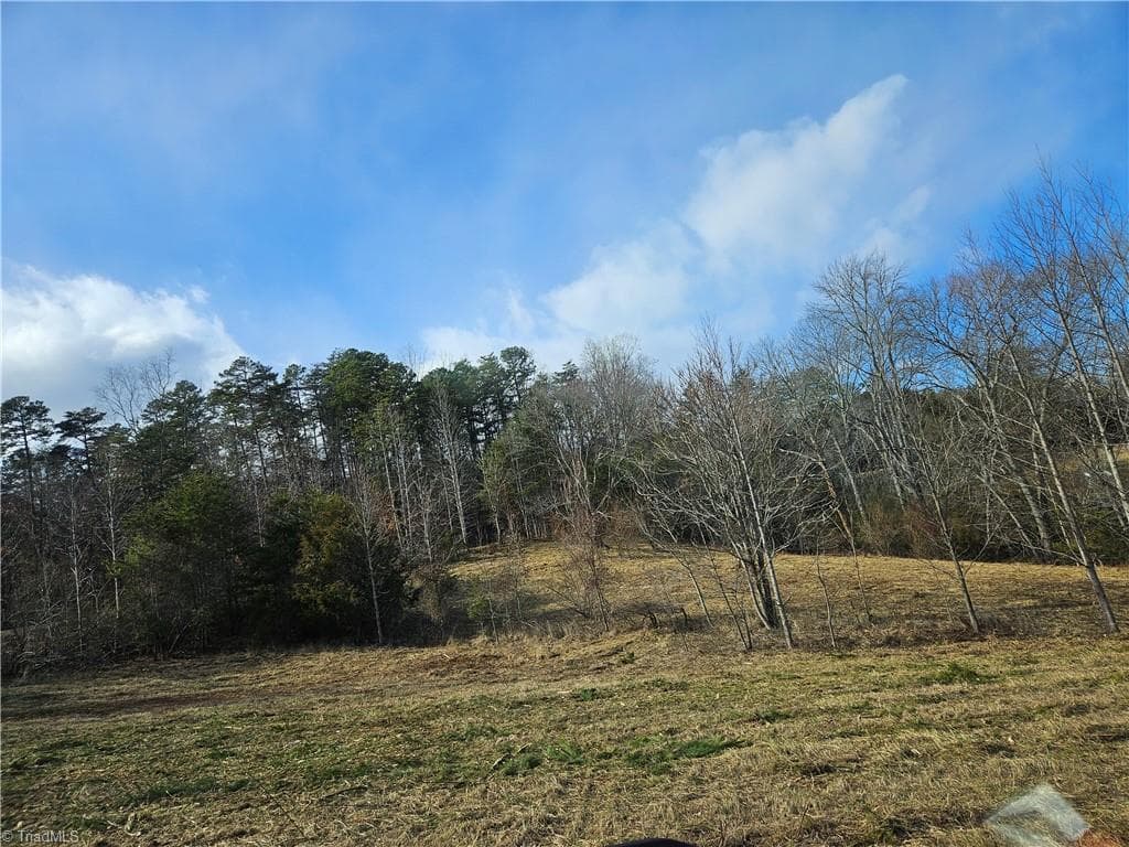 Unimproved Land at 00 Whitaker Chapel Road # 2, Pilot Mountain NC 27041, photo 2 of 11