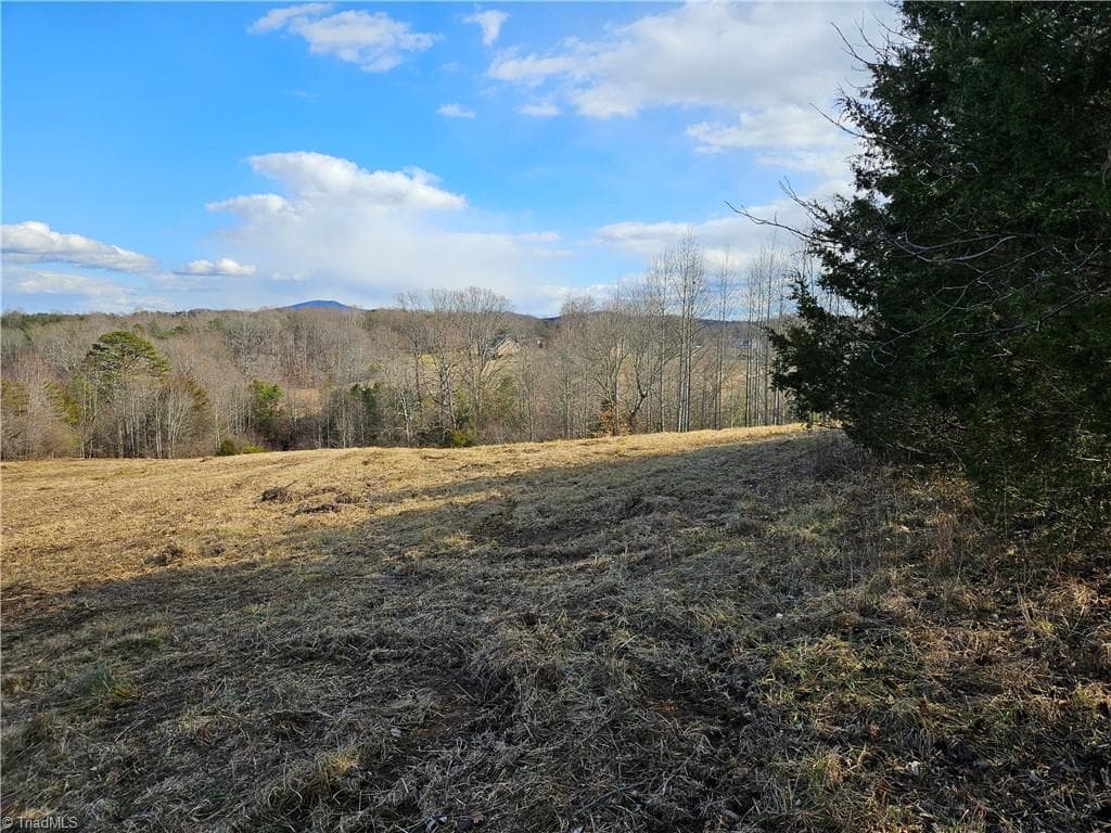 Unimproved Land at 00 Whitaker Chapel Road # 2, Pilot Mountain NC 27041, photo 3 of 11