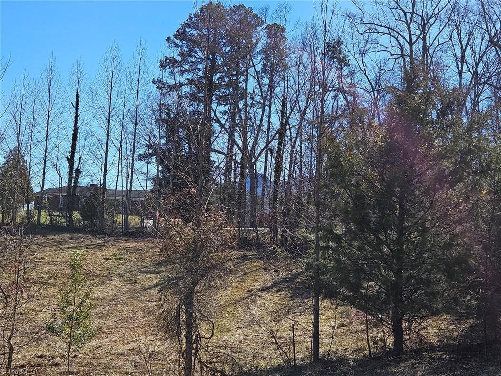 Unimproved Land at 00 Whitaker Chapel Road # 2, Pilot Mountain NC 27041, photo 9 of 11