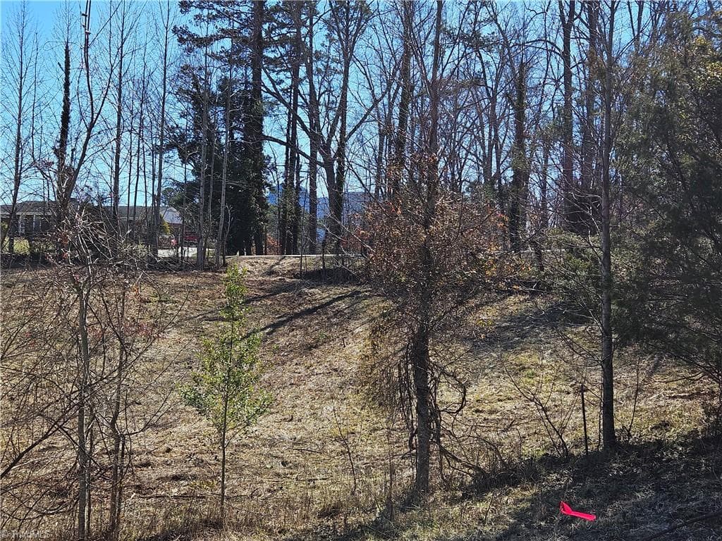 Unimproved Land at 00 Whitaker Chapel Road # 2, Pilot Mountain NC 27041, photo 10 of 11