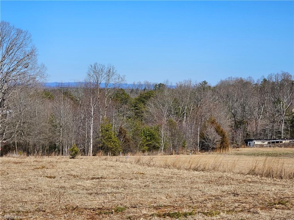 Unimproved Land at 00 Whitaker Chapel Road # 2, Pilot Mountain NC 27041, photo 11 of 11