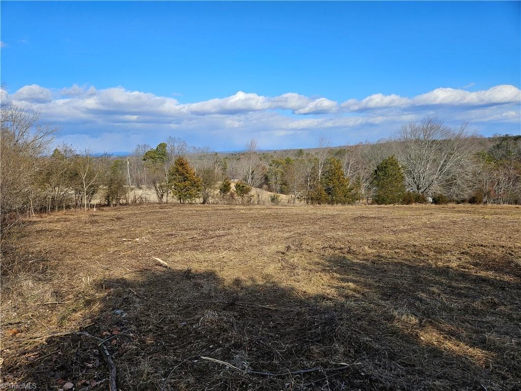 Unimproved Land at 00 Whitaker Chapel Road # 2, Pilot Mountain NC 27041, photo 4 of 11