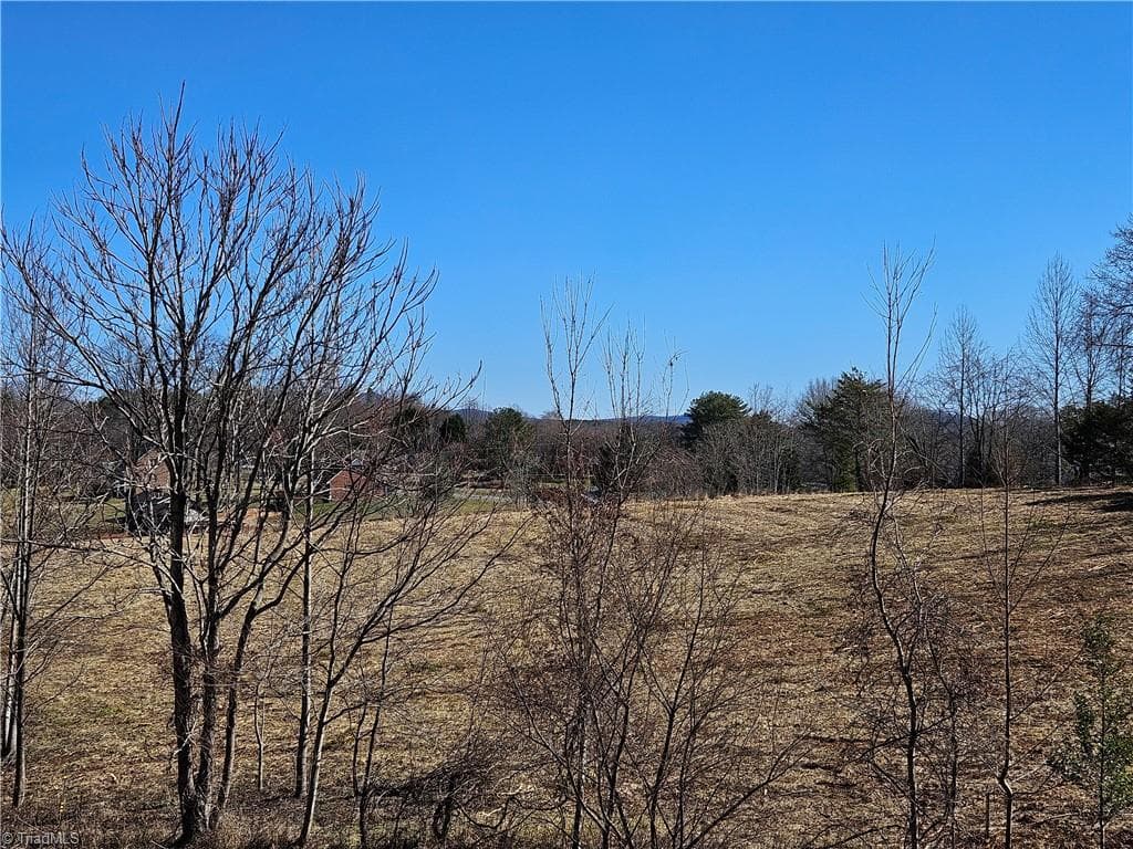 Unimproved Land at 00 Whitaker Chapel Road # 2, Pilot Mountain NC 27041, photo 8 of 11