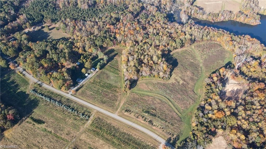 Investment at 0 Boyd Road, Reidsville NC 27320, photo 6 of 13