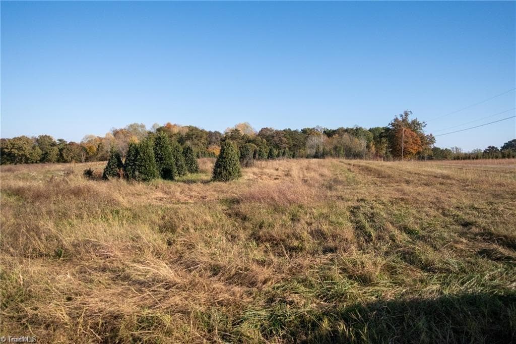 Investment at 0 Boyd Road, Reidsville NC 27320, photo 13 of 13