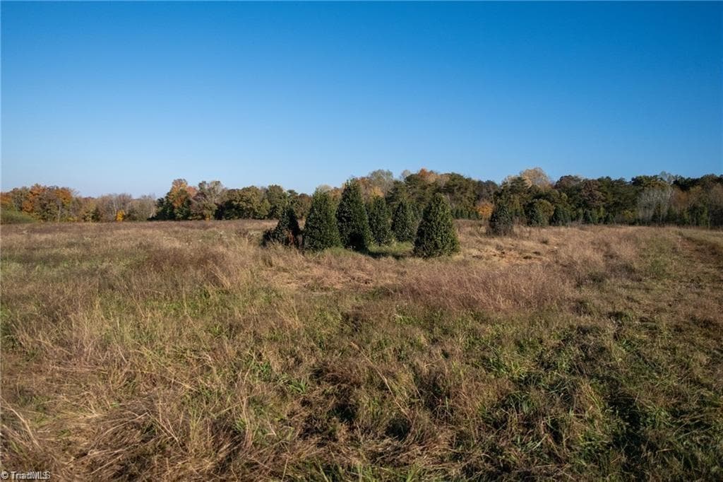 Investment at 0 Boyd Road, Reidsville NC 27320, photo 11 of 13
