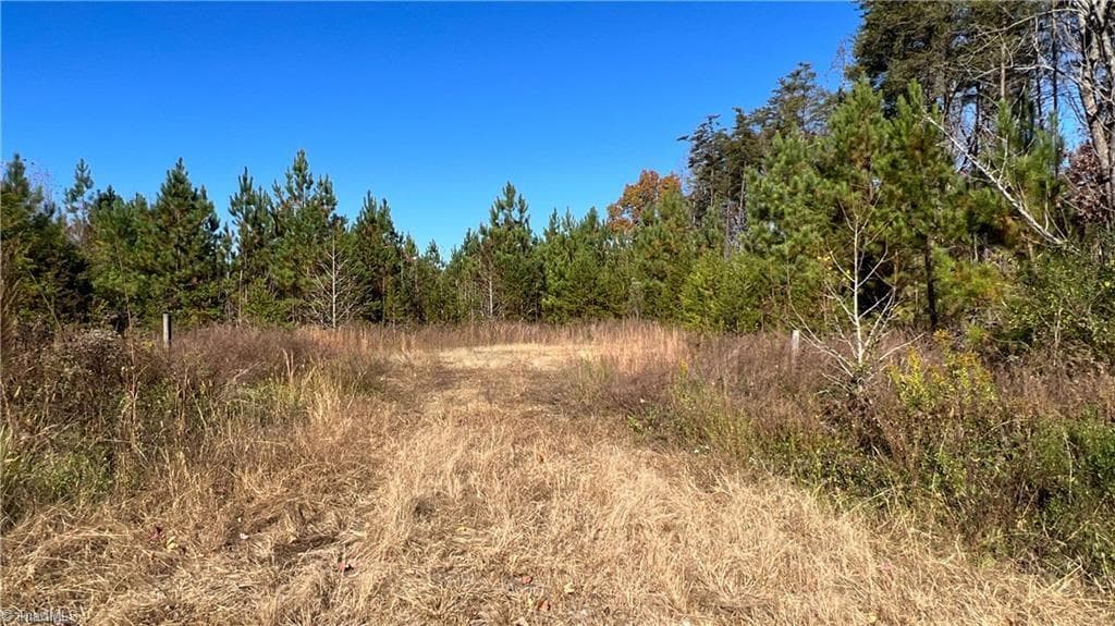 Unimproved Land at 00 E Morehead Street, Reidsville NC 27320, photo 22 of 27
