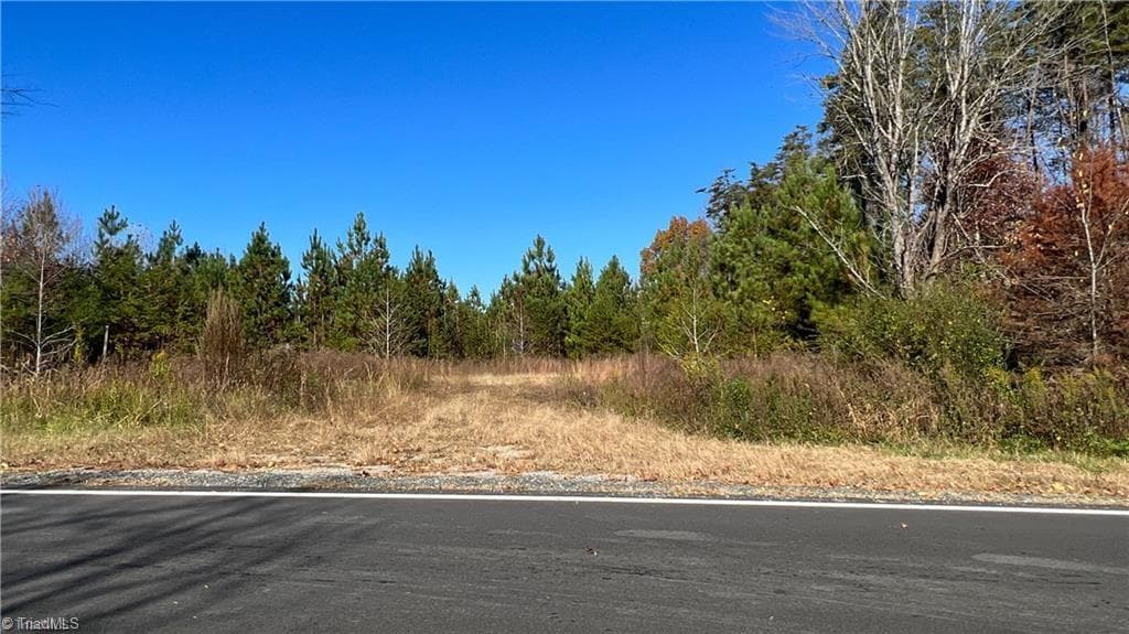Unimproved Land at 00 E Morehead Street, Reidsville NC 27320, photo 21 of 27