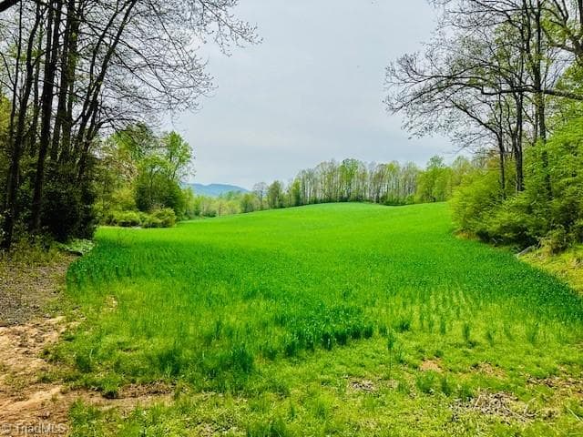 Remarks at TBD German Farm Road, Boomer NC 28606, photo 17 of 50
