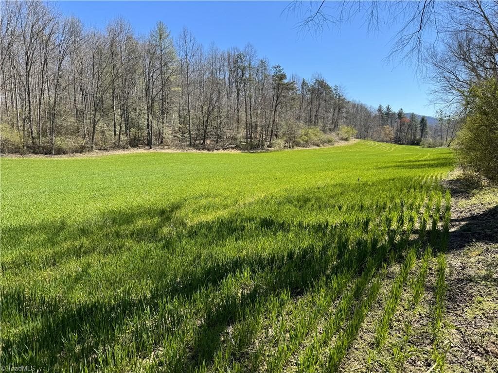 Remarks at TBD German Farm Road, Boomer NC 28606, photo 9 of 50