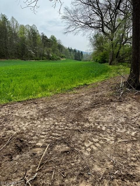 Remarks at TBD German Farm Road, Boomer NC 28606, photo 19 of 50