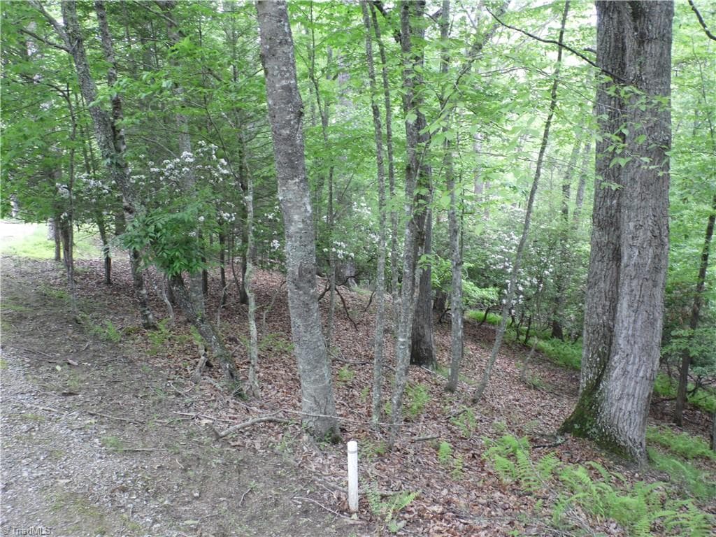 Unimproved Land at TBD Deer Valley Road, Piney Creek NC 28663, photo 2 of 10