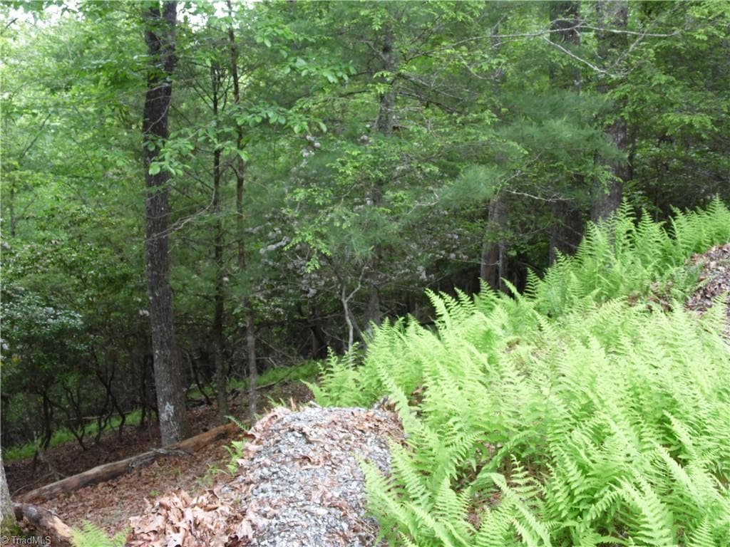 Unimproved Land at TBD Deer Valley Road, Piney Creek NC 28663, photo 6 of 10
