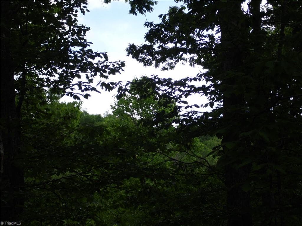 Unimproved Land at TBD Deer Valley Road, Piney Creek NC 28663, photo 7 of 10