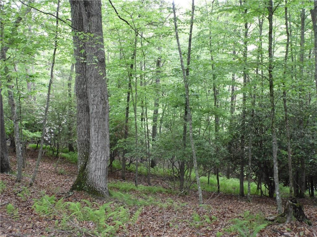Unimproved Land at TBD Deer Valley Road, Piney Creek NC 28663, photo 3 of 10