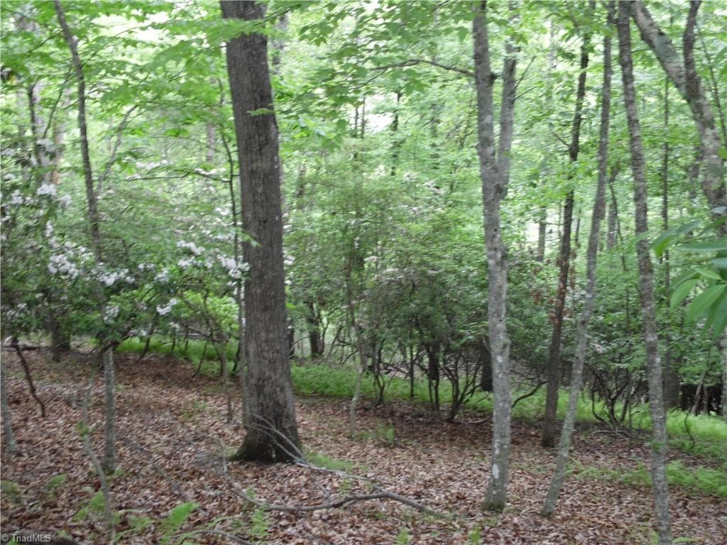 Unimproved Land at TBD Deer Valley Road, Piney Creek NC 28663, photo 5 of 10
