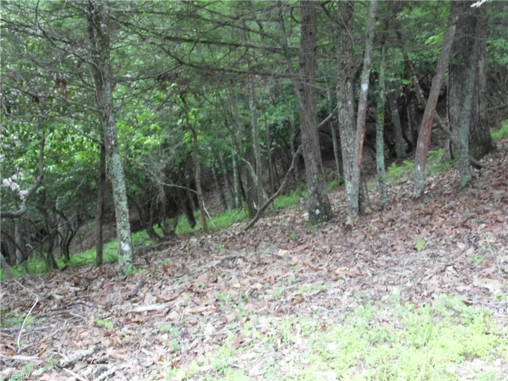 Unimproved Land at TBD Deer Valley Road, Piney Creek NC 28663, photo 9 of 10