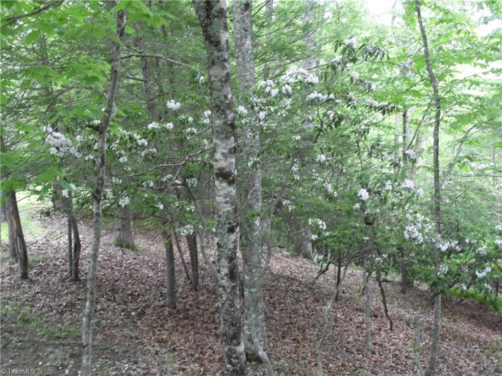 Unimproved Land at TBD Deer Valley Road, Piney Creek NC 28663, photo 4 of 10