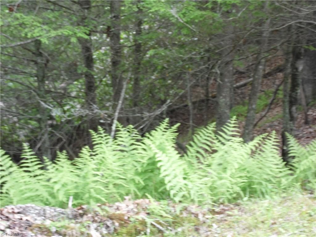 Unimproved Land at TBD Deer Valley Road, Piney Creek NC 28663, photo 8 of 10