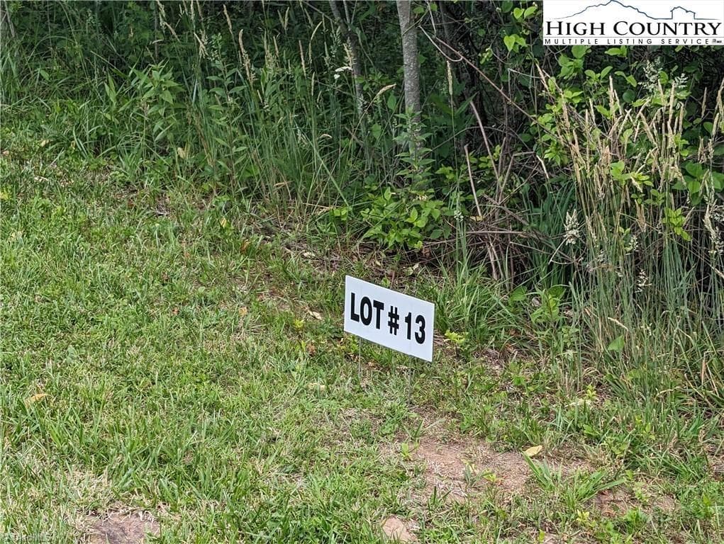 Unimproved Land at Lot 13 Briarwood Lane, Sparta NC 28675, photo 2 of 12