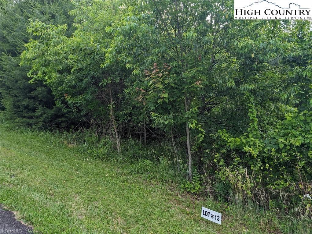 Unimproved Land at Lot 13 Briarwood Lane, Sparta NC 28675, photo 6 of 12