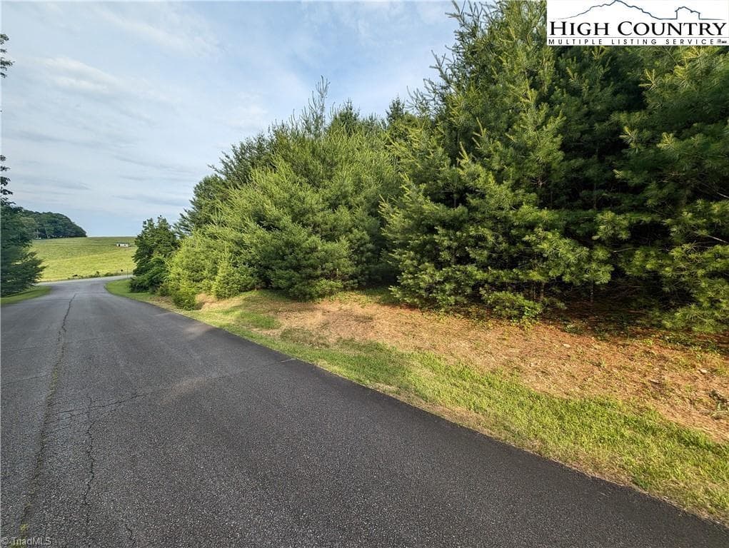 Unimproved Land at Lot 13 Briarwood Lane, Sparta NC 28675, photo 3 of 12