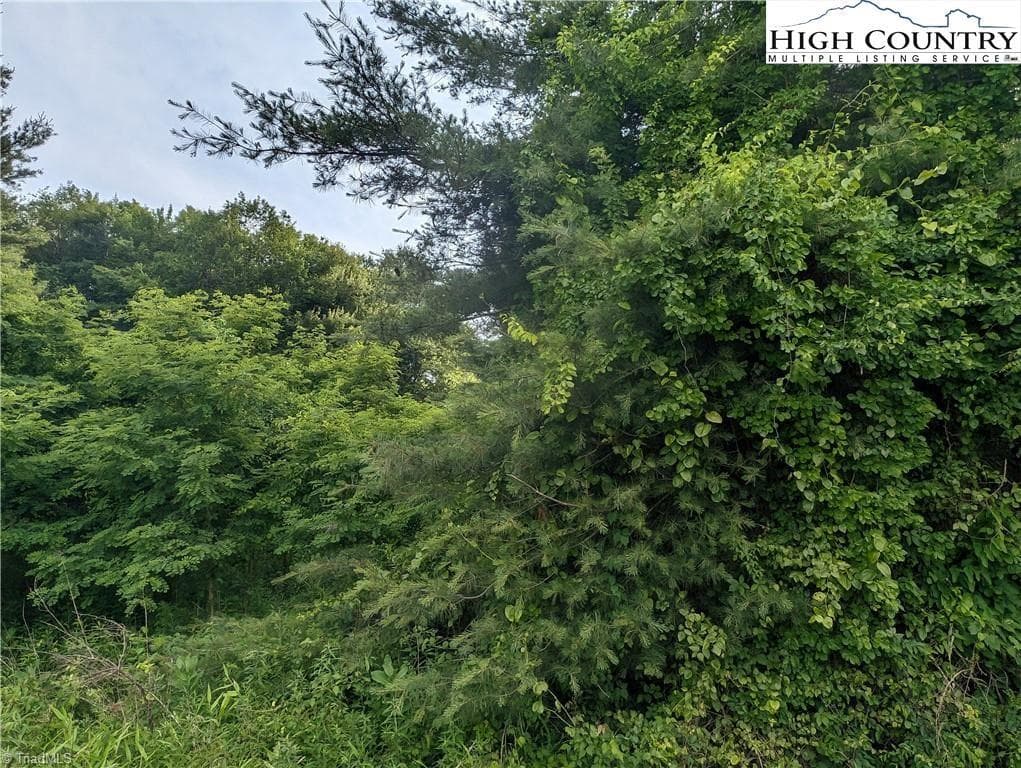 Unimproved Land at Lot 13 Briarwood Lane, Sparta NC 28675, photo 10 of 12