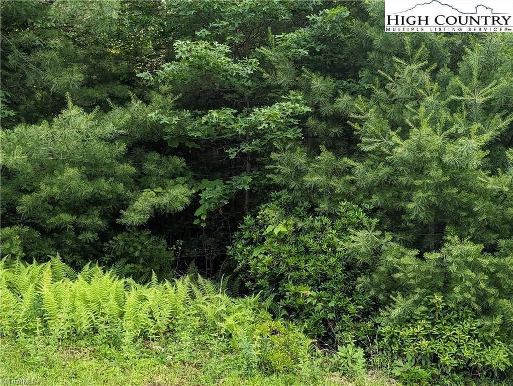 Unimproved Land at Lot 12 Briarwood Lane, Sparta NC 28675, photo 2 of 7