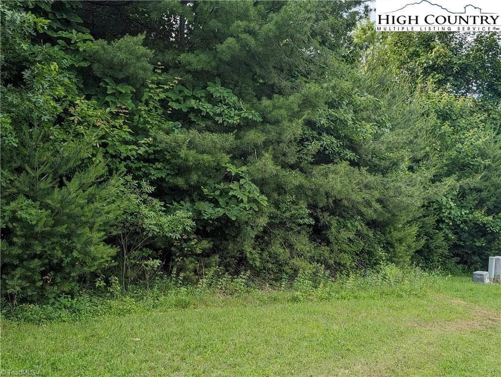 Unimproved Land at Lot 12 Briarwood Lane, Sparta NC 28675, photo 6 of 7