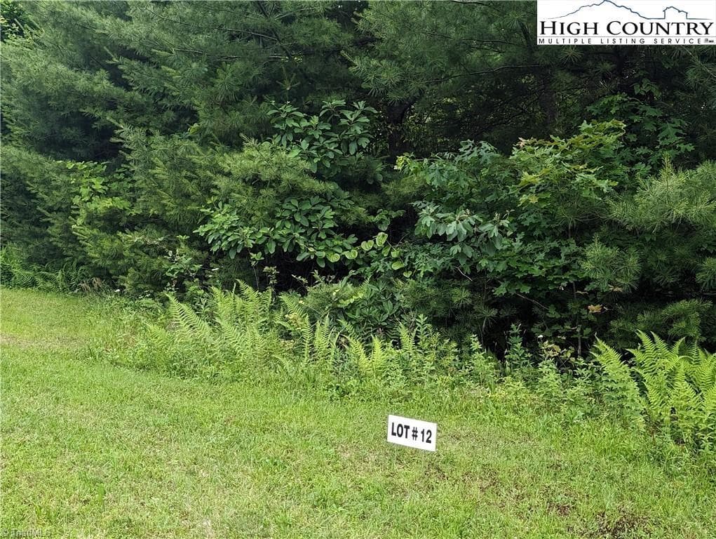 Unimproved Land at Lot 12 Briarwood Lane, Sparta NC 28675, photo 3 of 7