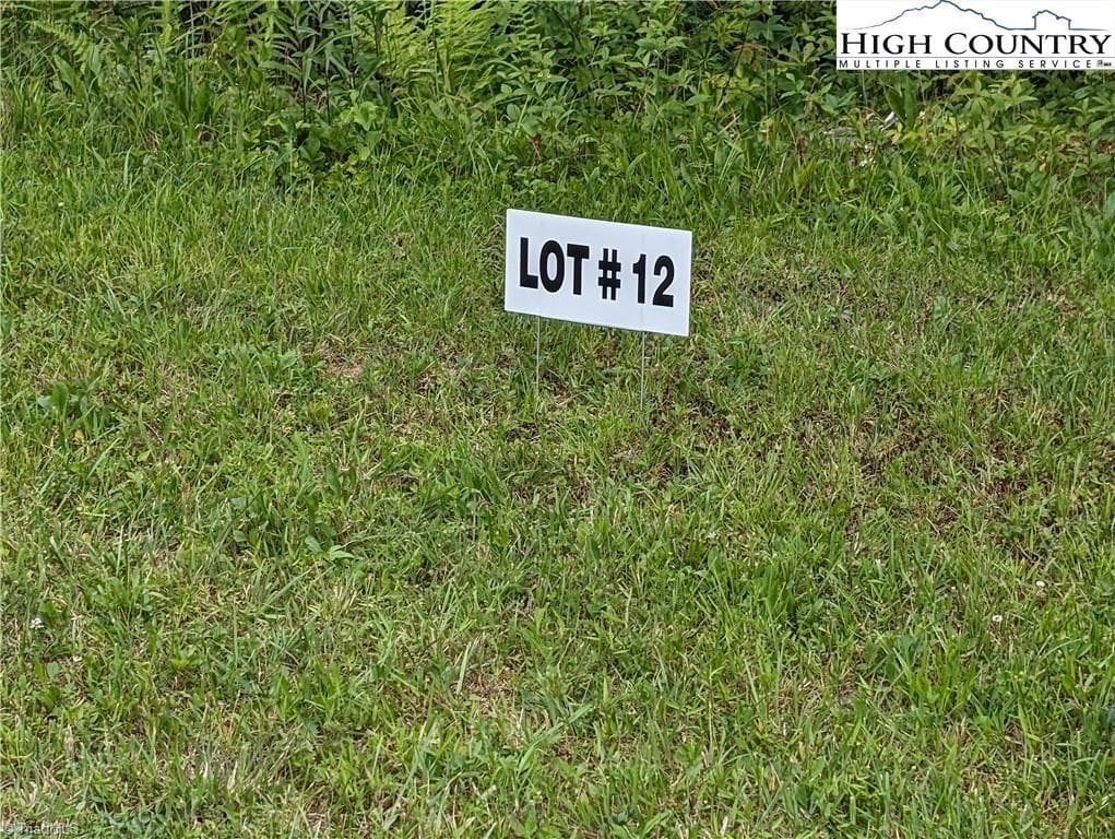 Lot 12 Briarwood Lane, Sparta NC 28675