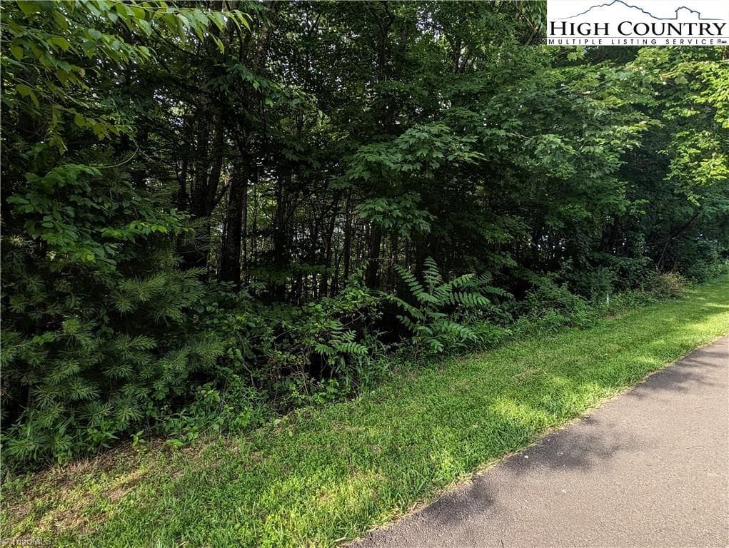 Single Family Residence at Lot 5 Briarwood Lane, Sparta NC 28675, photo 3 of 10