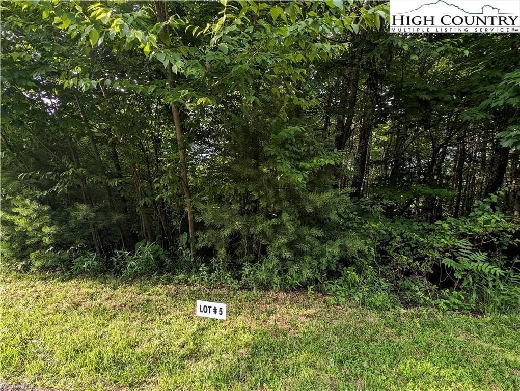 Single Family Residence at Lot 5 Briarwood Lane, Sparta NC 28675, photo 4 of 10