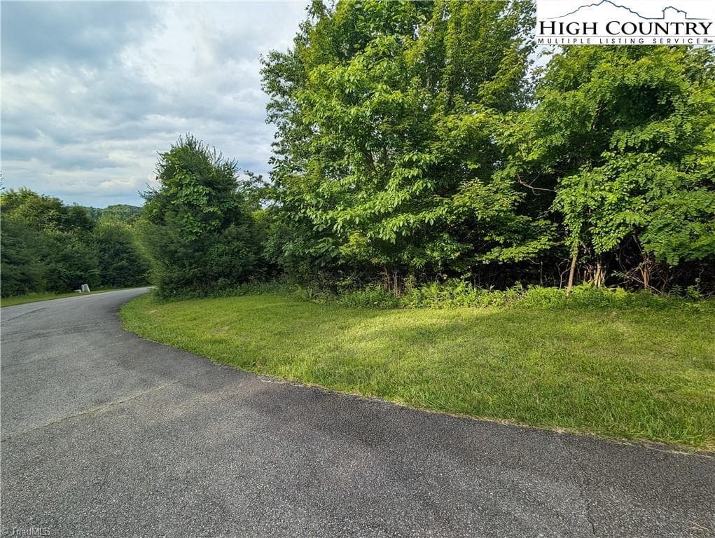 Unimproved Land at Lot 4 Briarwood Lane, Sparta NC 28675, photo 2 of 7