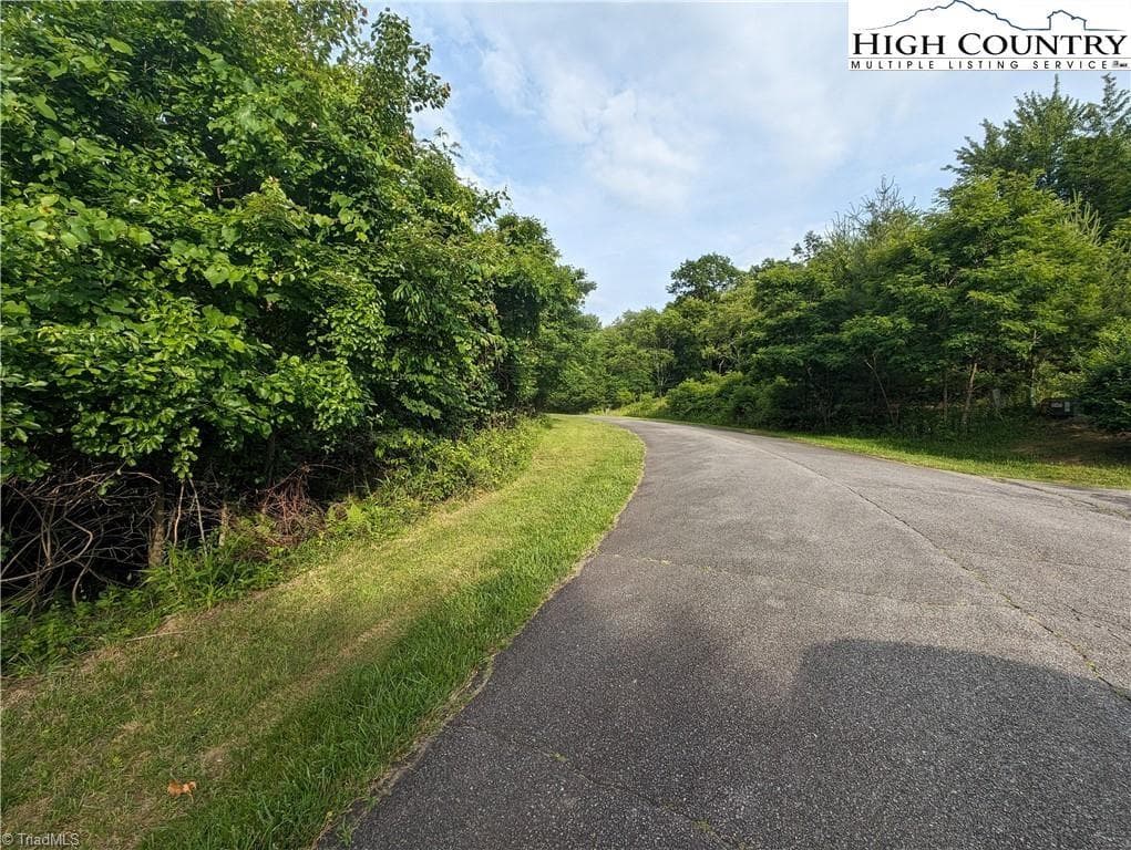 Unimproved Land at Lot 4 Briarwood Lane, Sparta NC 28675, photo 6 of 7