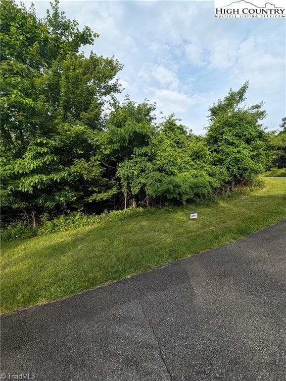 Unimproved Land at Lot 4 Briarwood Lane, Sparta NC 28675, photo 3 of 7