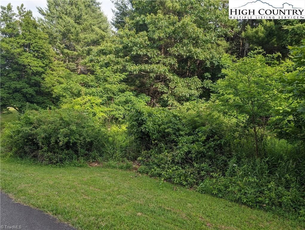 Unimproved Land at Lot 1 Briarwood Lane, Sparta NC 28675, photo 2 of 9