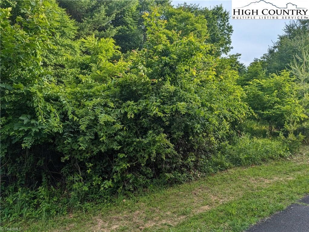 Unimproved Land at Lot 1 Briarwood Lane, Sparta NC 28675, photo 6 of 9