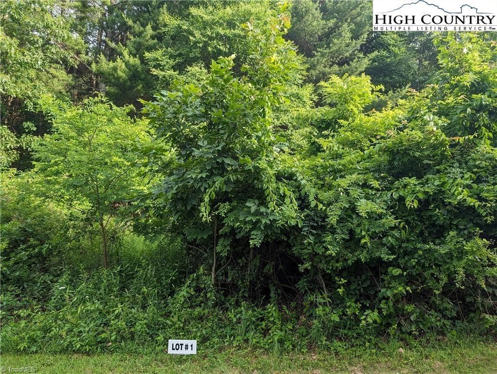 Unimproved Land at Lot 1 Briarwood Lane, Sparta NC 28675, photo 3 of 9