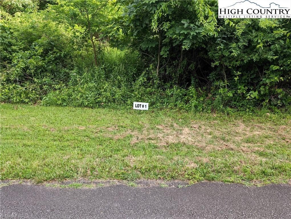 Lot 1 Briarwood Lane, Sparta NC 28675